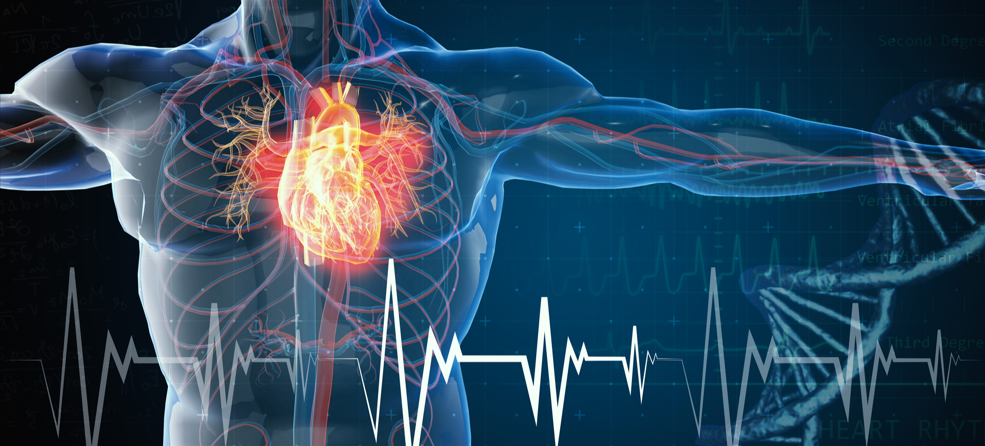 Cardiology Specialists in Mumbai, Cardiology Physicians, Heart Specialist in Mumbai, Heart Doctor Near Me, Heart Specialist Doctor, Cardiac Doctor Near Me